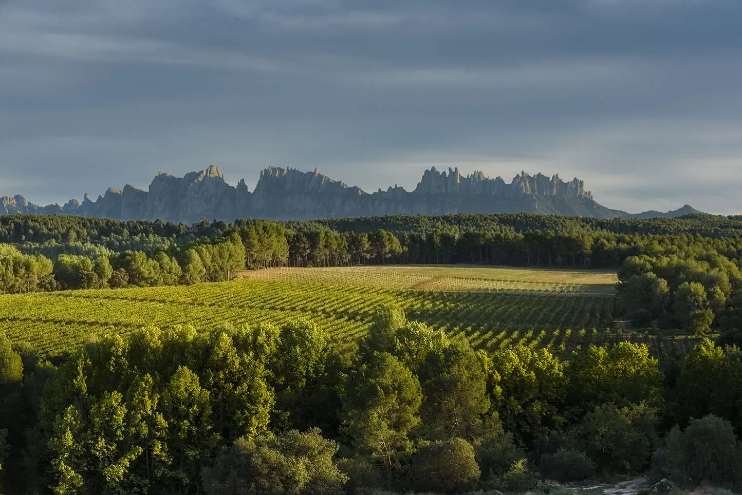 Muntanya de Montserrat